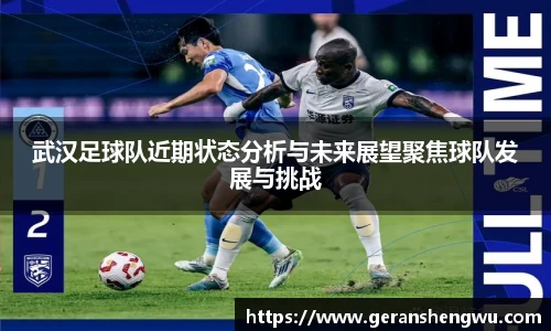 武汉足球队近期状态分析与未来展望聚焦球队发展与挑战